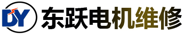 新疆東躍電機(jī)有限公司