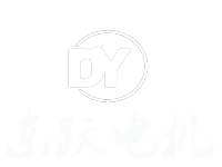新疆東躍電機(jī)有限公司
